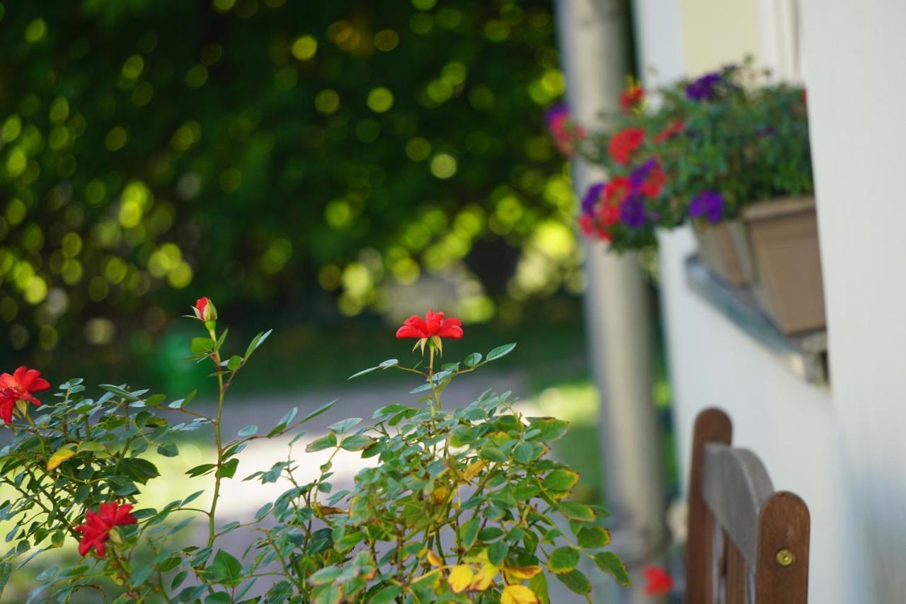 Pension Zum Birnbaum 브란덴부르크 외부 사진
